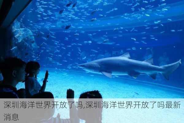 深圳海洋世界开放了吗,深圳海洋世界开放了吗最新消息