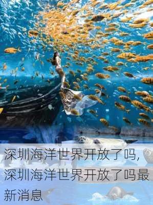 深圳海洋世界开放了吗,深圳海洋世界开放了吗最新消息