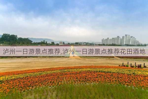 泸州一日游景点推荐,泸州一日游景点推荐花田酒地