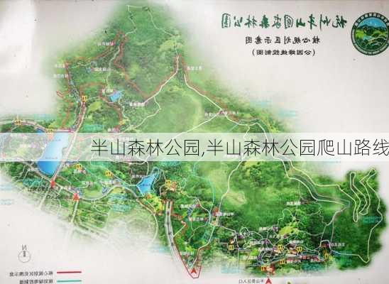 半山森林公园,半山森林公园爬山路线