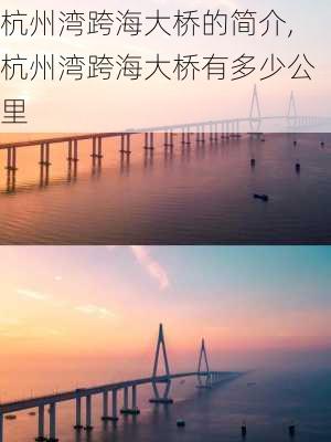 杭州湾跨海大桥的简介,杭州湾跨海大桥有多少公里