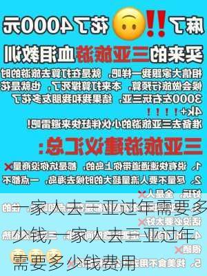 一家人去三亚过年需要多少钱,一家人去三亚过年需要多少钱费用