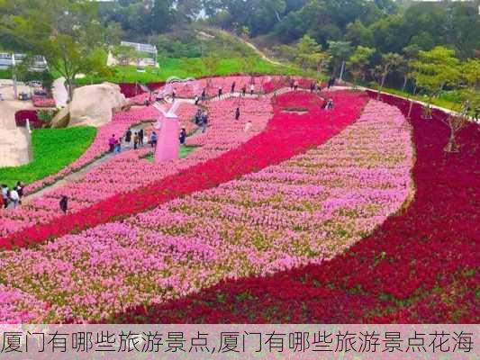 厦门有哪些旅游景点,厦门有哪些旅游景点花海