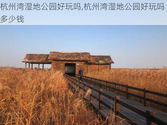 杭州湾湿地公园好玩吗,杭州湾湿地公园好玩吗多少钱