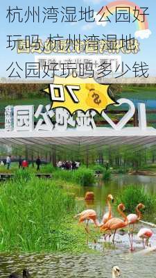 杭州湾湿地公园好玩吗,杭州湾湿地公园好玩吗多少钱