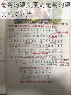 葡萄沟课文原文,葡萄沟课文原文图片