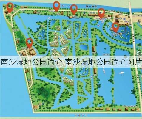 南沙湿地公园简介,南沙湿地公园简介图片