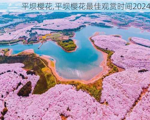 平坝樱花,平坝樱花最佳观赏时间2024