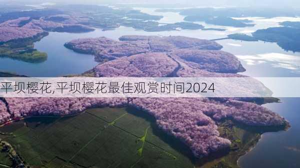 平坝樱花,平坝樱花最佳观赏时间2024