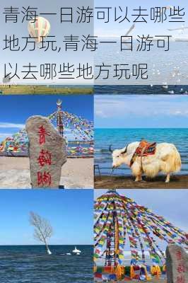 青海一日游可以去哪些地方玩,青海一日游可以去哪些地方玩呢