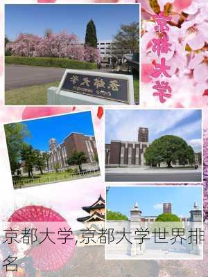 京都大学,京都大学世界排名