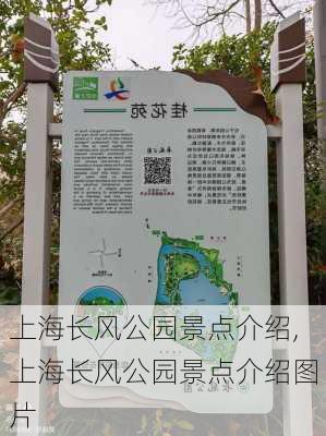 上海长风公园景点介绍,上海长风公园景点介绍图片