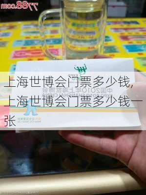 上海世博会门票多少钱,上海世博会门票多少钱一张