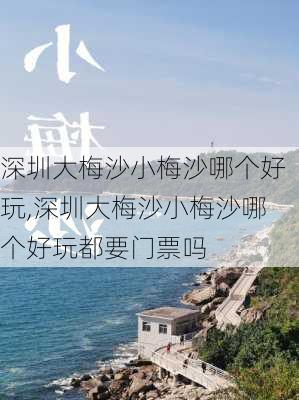 深圳大梅沙小梅沙哪个好玩,深圳大梅沙小梅沙哪个好玩都要门票吗