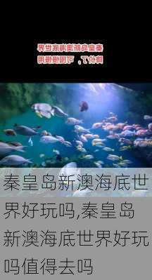 秦皇岛新澳海底世界好玩吗,秦皇岛新澳海底世界好玩吗值得去吗