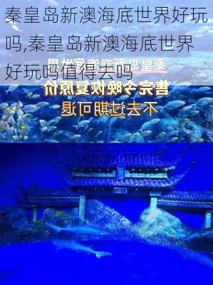 秦皇岛新澳海底世界好玩吗,秦皇岛新澳海底世界好玩吗值得去吗