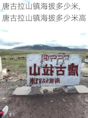 唐古拉山镇海拔多少米,唐古拉山镇海拔多少米高