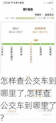 怎样查公交车到哪里了,怎样查公交车到哪里了?