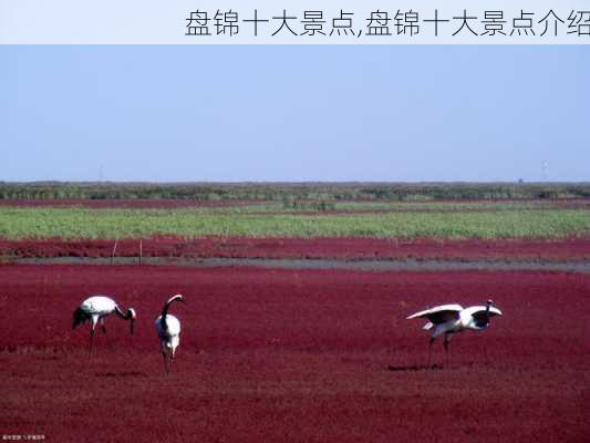 盘锦十大景点,盘锦十大景点介绍