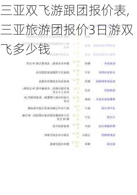 三亚双飞游跟团报价表,三亚旅游团报价3日游双飞多少钱