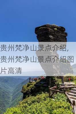 贵州梵净山景点介绍,贵州梵净山景点介绍图片高清