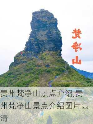 贵州梵净山景点介绍,贵州梵净山景点介绍图片高清