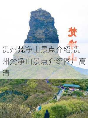 贵州梵净山景点介绍,贵州梵净山景点介绍图片高清