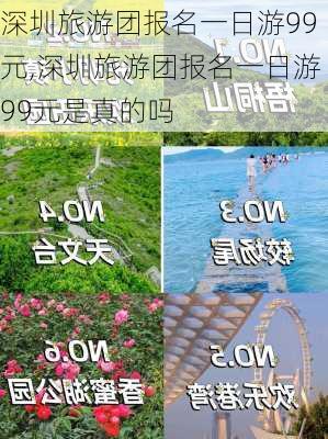 深圳旅游团报名一日游99元,深圳旅游团报名一日游99元是真的吗