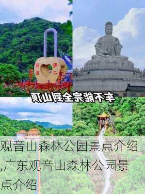 观音山森林公园景点介绍,广东观音山森林公园景点介绍