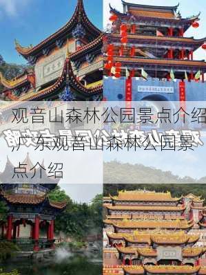 观音山森林公园景点介绍,广东观音山森林公园景点介绍