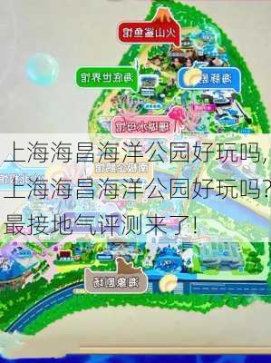 上海海昌海洋公园好玩吗,上海海昌海洋公园好玩吗?最接地气评测来了!