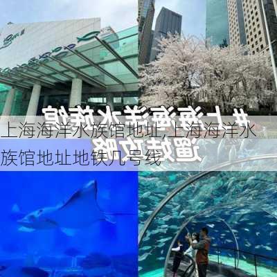 上海海洋水族馆地址,上海海洋水族馆地址地铁几号线