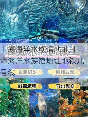 上海海洋水族馆地址,上海海洋水族馆地址地铁几号线