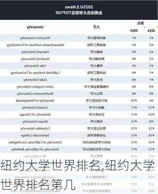 纽约大学世界排名,纽约大学世界排名第几