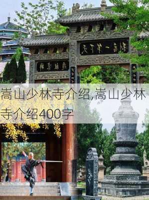 嵩山少林寺介绍,嵩山少林寺介绍400字