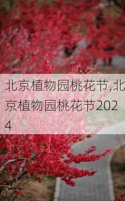 北京植物园桃花节,北京植物园桃花节2024