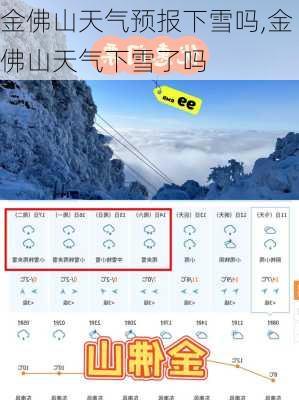 金佛山天气预报下雪吗,金佛山天气下雪了吗