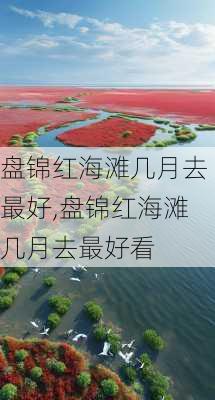 盘锦红海滩几月去最好,盘锦红海滩几月去最好看