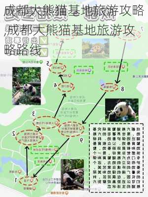 成都大熊猫基地旅游攻略,成都大熊猫基地旅游攻略路线