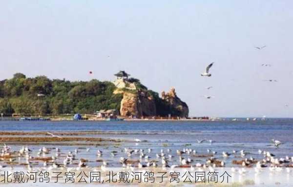 北戴河鸽子窝公园,北戴河鸽子窝公园简介