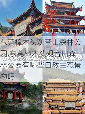 东莞樟木头观音山森林公园,东莞樟木头观音山森林公园有哪些自然生态景物吗