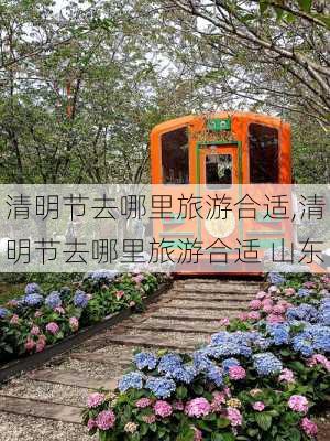 清明节去哪里旅游合适,清明节去哪里旅游合适 山东