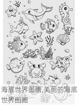 海底世界图画,美丽的海底世界图画