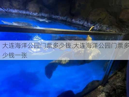 大连海洋公园门票多少钱,大连海洋公园门票多少钱一张