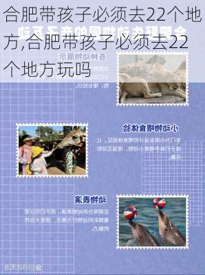 合肥带孩子必须去22个地方,合肥带孩子必须去22个地方玩吗