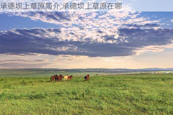 承德坝上草原简介,承德坝上草原在哪