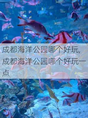 成都海洋公园哪个好玩,成都海洋公园哪个好玩一点