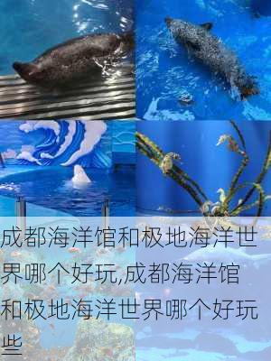 成都海洋馆和极地海洋世界哪个好玩,成都海洋馆和极地海洋世界哪个好玩些