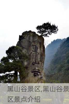 黑山谷景区,黑山谷景区景点介绍