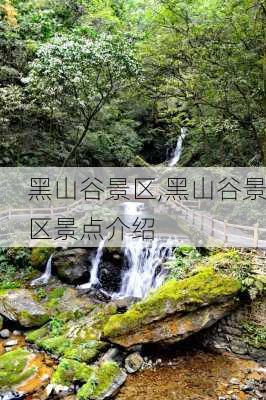 黑山谷景区,黑山谷景区景点介绍